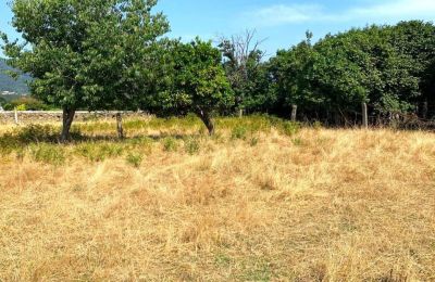 Villa padronale in vendita Viana do Castelo, Valença, Cristelo Covo e Arão, Arão, Portogallo-Nord, Foto 29/44