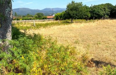 Villa padronale in vendita Viana do Castelo, Valença, Cristelo Covo e Arão, Arão, Portogallo-Nord, Foto 30/44