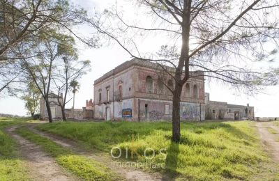 Villa padronale in vendita Manduria, Puglia, Foto 37/38
