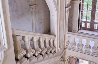 Castello in vendita Loudun, Nuova Aquitania, Scala