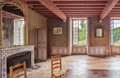 Castello in vendita Loudun, Nuova Aquitania, Vista interna 1