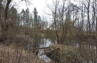 Villa padronale in vendita Drawno, Pomerania Occidentale, Stagno/Lago