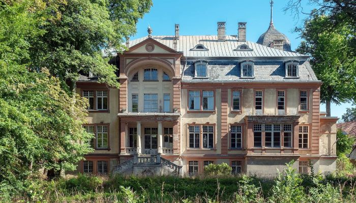 Castello in vendita Brzeźnica, Lubusz,  Polonia
