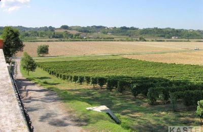 Villa storica in vendita Terricciola, Toscana:  Proprietà