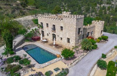 Villa storica in vendita Relleu, Comunitat Valenciana:  