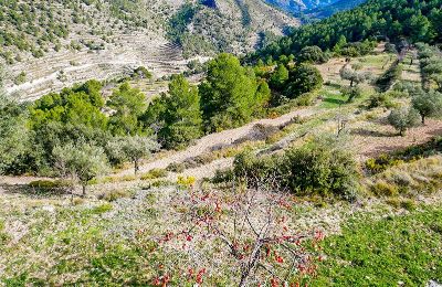 Villa storica in vendita Relleu, Valencia, Foto 21/24