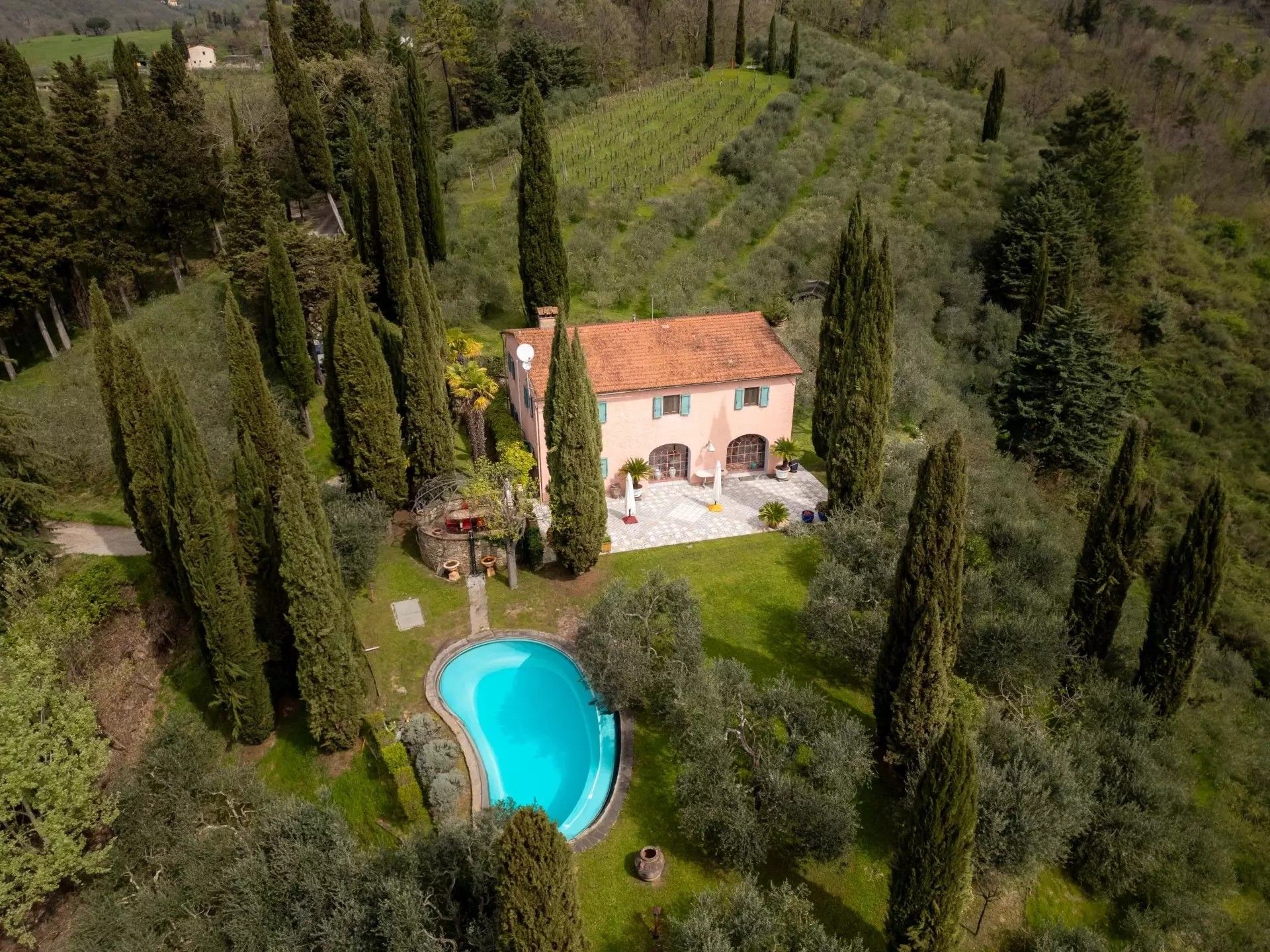 Immagini Mugello: Casolare ristrutturato con vigneto a nord di Firenze