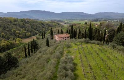 Casa di campagna in vendita Vicchio, Toscana, Foto 36/39