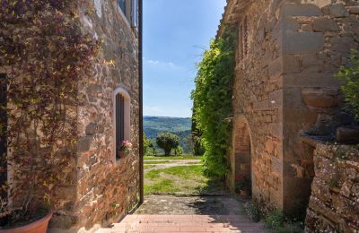Casa di campagna in vendita Lamole, Toscana, Foto 1/37