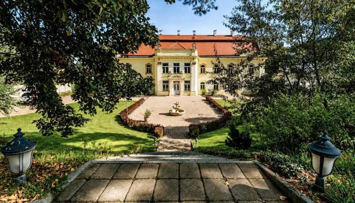 Villa padronale in vendita Regione di Trnava