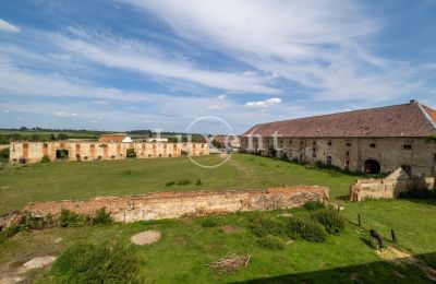 Castello in vendita Kounice, Zámek Kounice, Středočeský kraj, Dependance