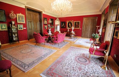 Castello in vendita okres Jihlava, Salone