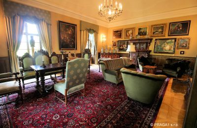 Castello in vendita okres Jihlava, Zona giorno