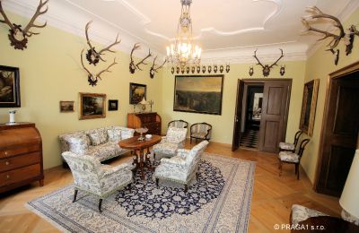 Castello in vendita okres Jihlava, Foto 14/19