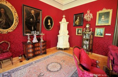 Castello in vendita okres Jihlava, Antiquariato