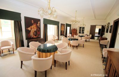 Castello in vendita okres Jihlava, Ampio salone