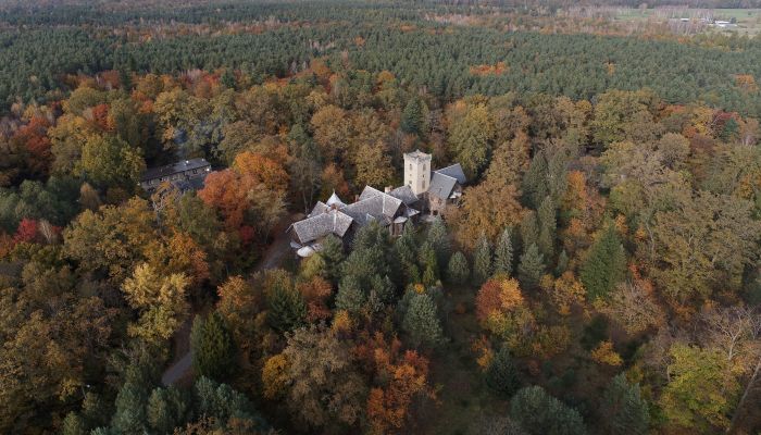 Castello in vendita Sośnie, Grande Polonia,  Polonia