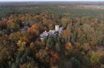 Castello in vendita Sośnie, Jana Sztolcmana 1, Grande Polonia, Foto con drone