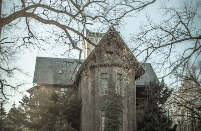 Castello in vendita Sośnie, Jana Sztolcmana 1, Grande Polonia, Foto 4/7