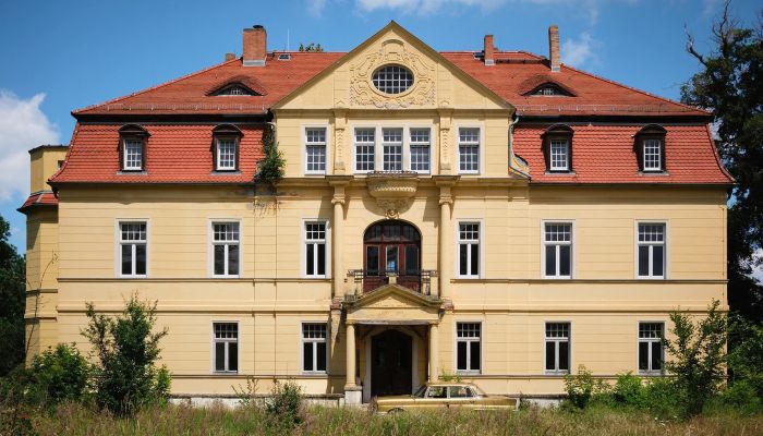 Villa padronale in vendita Salzlandkreis, Bernburg, Preußlitz,  Germania