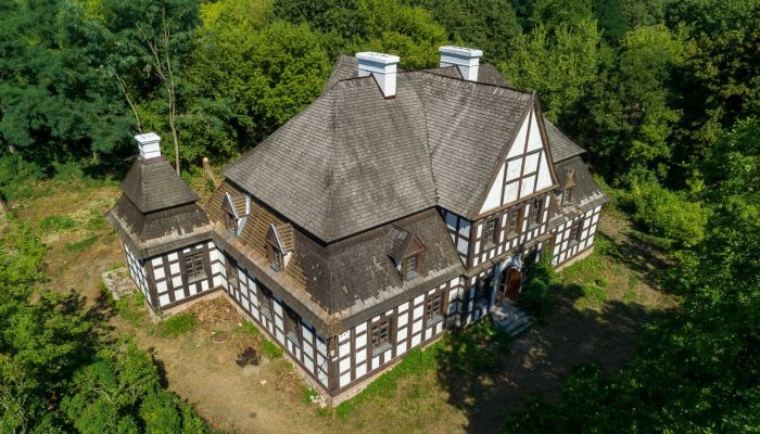 Villa padronale in vendita Rogoźno, Grande Polonia,  Polonia
