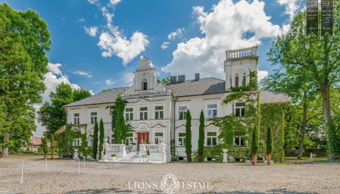 Villa padronale in vendita Pstrokonie, Łódź,  Polonia