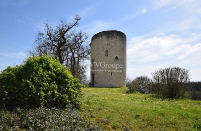 Castello in vendita Monflanquin, Nuova Aquitania, Torre