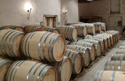 Castello in vendita Blaye, Nuova Aquitania, Cantina