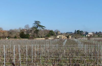 Castello in vendita Blaye, Nuova Aquitania, Foto 11/14
