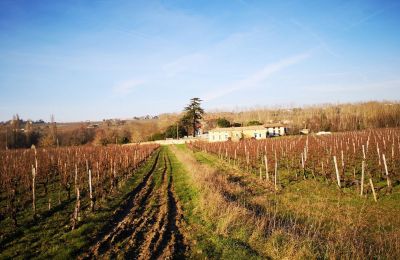 Castello in vendita Blaye, Nuova Aquitania, Foto 12/14