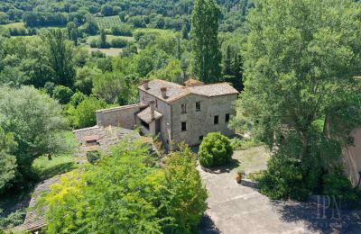Villa padronale in vendita 06014 Montone, Umbria, Foto 35/36