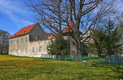 Castello in vendita Bielawa, Wolności 92, Bassa Slesia, Foto 4/7