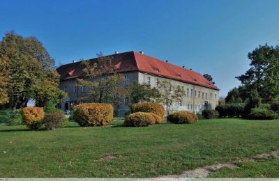 Castello in vendita Bielawa, Wolności 92, Bassa Slesia, Foto 7/7