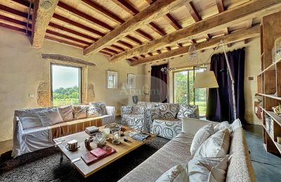 Proprietà storica in vendita Mirande, Occitania, Soggiorno