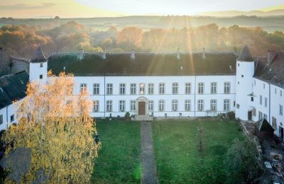 Castello in vendita Roussy-le-Bourg, Grand-Est, Foto con drone