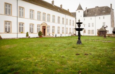 Castello in vendita Roussy-le-Bourg, Grand-Est, Cortile