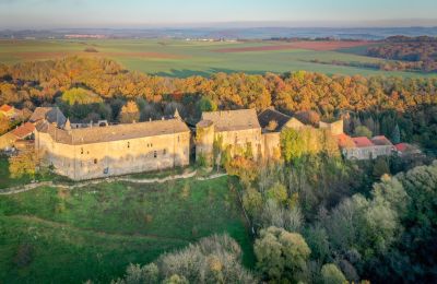 Castello in vendita Roussy-le-Bourg, Grand-Est, Posizione dell'immobile