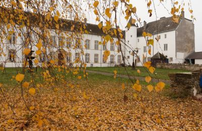 Castello in vendita Roussy-le-Bourg, Grand-Est, Vista esterna