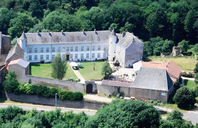 Castello in vendita Roussy-le-Bourg, Grand-Est, Château de Roussy-Comté