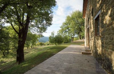 Casa di campagna in vendita 06029 Valfabbrica, Umbria, Foto 18/49