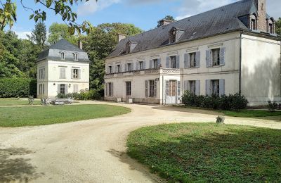Castello in vendita Bourgogne-Franche-Comté, Vista posteriore