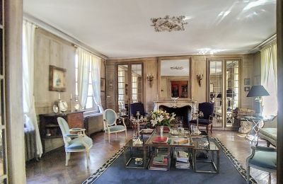 Castello in vendita Bourgogne-Franche-Comté, Salone