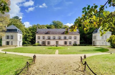 Castello in vendita Bourgogne-Franche-Comté, Foto 1/14