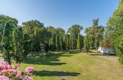 Castello in vendita Mgowo, Pałac w Mgowie, Kujavie-Pomerania, Parco