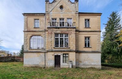 Castello in vendita Grabiszyce Średnie, Bassa Slesia, Vista laterale