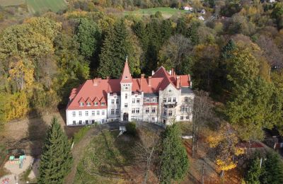 Castello in vendita Grabiszyce Średnie, Bassa Slesia, Pałac Grabiszyce Średnie