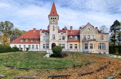 Castello in vendita Grabiszyce Średnie, Bassa Slesia, Vista frontale