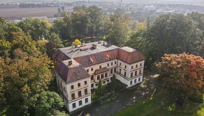Castello in vendita Wojnowice, Slesia,  Polonia