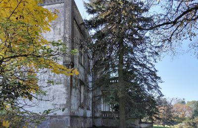 Castello in vendita Górki Dąbskie, Pałac w Górkach Dąbskich, Kujavie-Pomerania, Foto 13/22