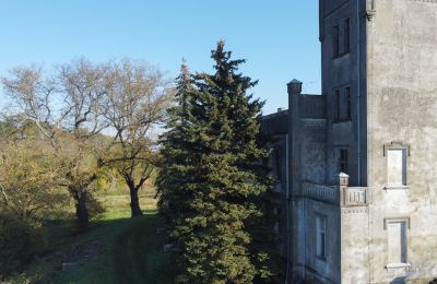 Castello in vendita Górki Dąbskie, Pałac w Górkach Dąbskich, Kujavie-Pomerania, Torre